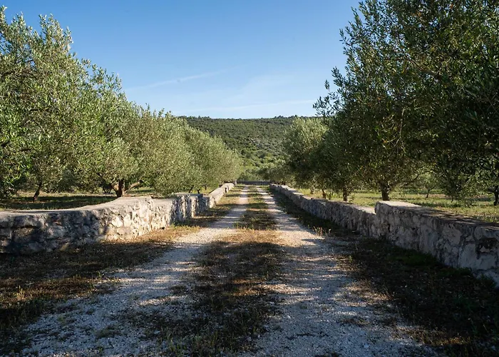 Villa Aria - Peaceful Olive Grove & Swimming Pool *