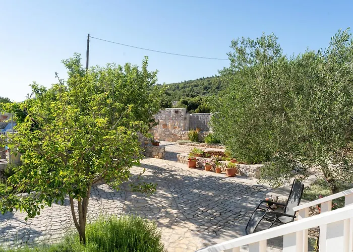 Aria - Peaceful Olive Grove & Swimming Pool *